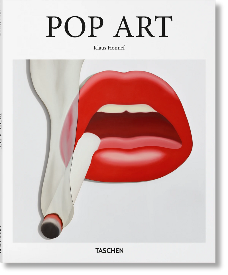 LIBRO POP ART